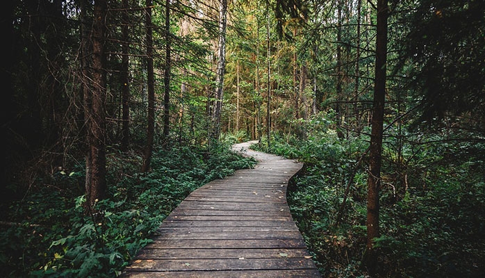 Servitude de passage et maison enclavée dans une forêt domaniale 